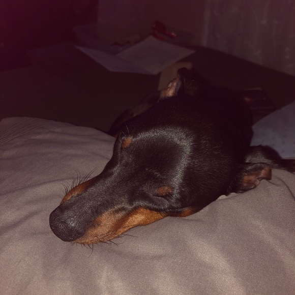 Meet your Posher, Stephanie - Picture 1 of 1